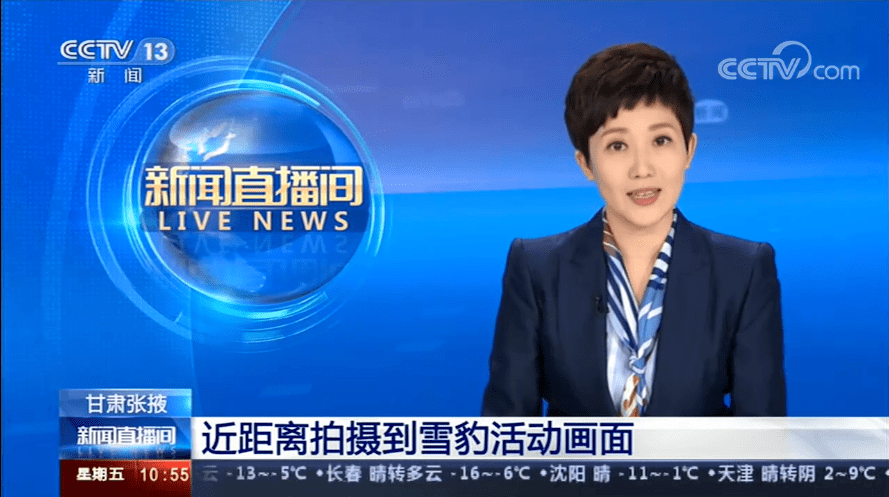 中央CCTV13新闻频道直播在线观看，实时掌握新闻动态的新途径，CCTV13新闻频道直播，实时掌握新闻动态的绝佳途径