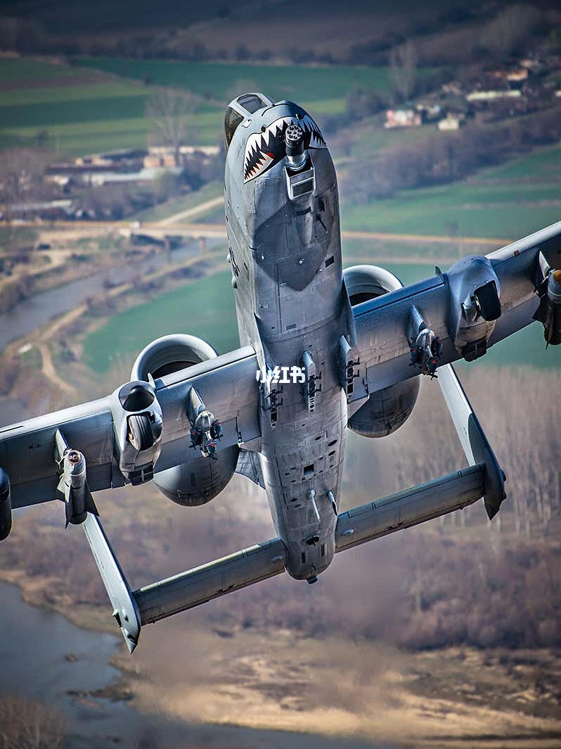 探索神秘的A10疣猪,自然之美与生存智慧,揭秘A10疣猪,自然之美与生存智慧的探索之旅