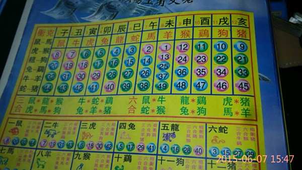 揭秘12生肖开奖记录，历史数据与预测分析，揭秘生肖开奖秘密，历史数据与预测分析全解析