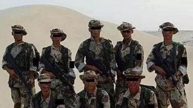 西北天狼突击队,荣耀与使命的象征,西北天狼突击队,荣耀与使命的战场标杆