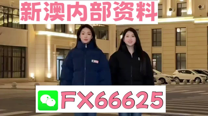 王中王一肖一,探索期中的奥秘,王中王一肖一,探索期奥秘之旅