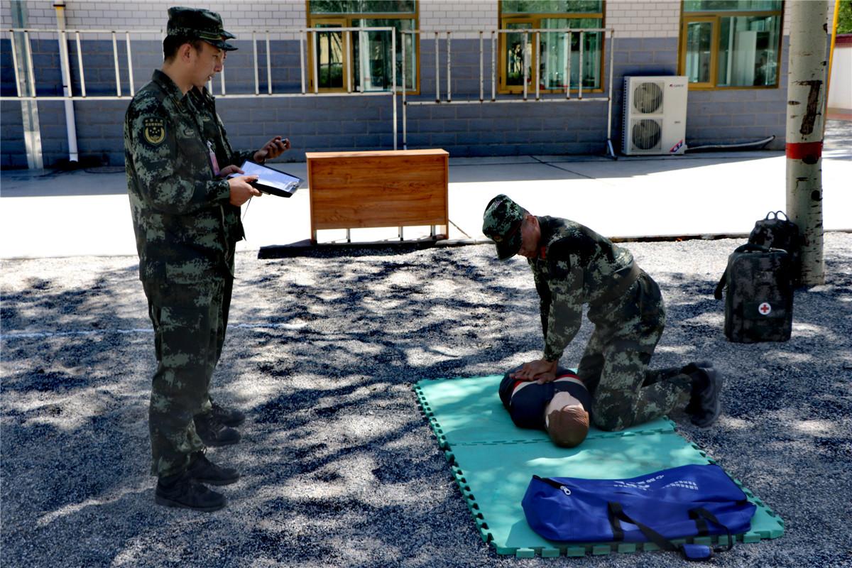 部队士官制度的起源与发展，从哪年开始的，部队士官制度的起源与发展，历史沿革与演变探究