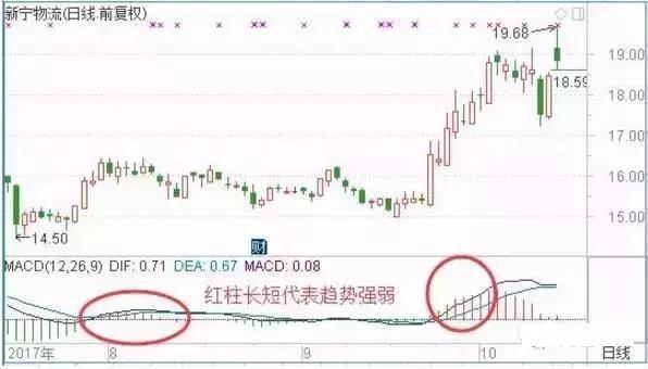 王中王最准一肖公开选料,揭秘精准预测背后的秘密,揭秘王中王精准预测生肖秘密,一肖公开选料揭秘精准预测背后的真相