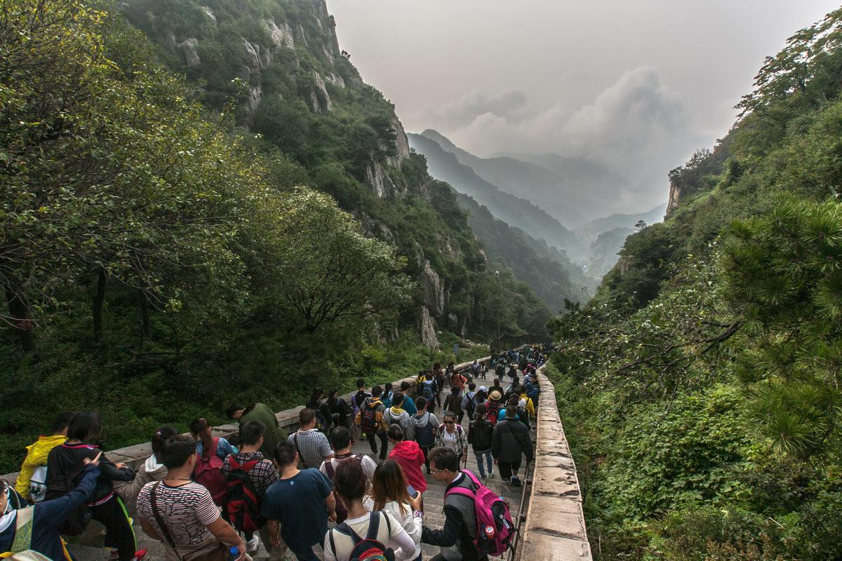 现行士官制度的深度解析,现行士官制度的深度剖析