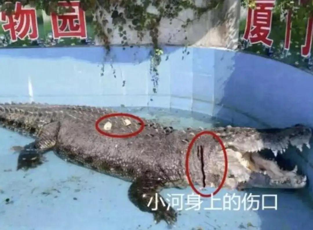 今日台湾与大陆的情况，两岸关系的新视角，两岸关系新视角，台湾与大陆的现状分析