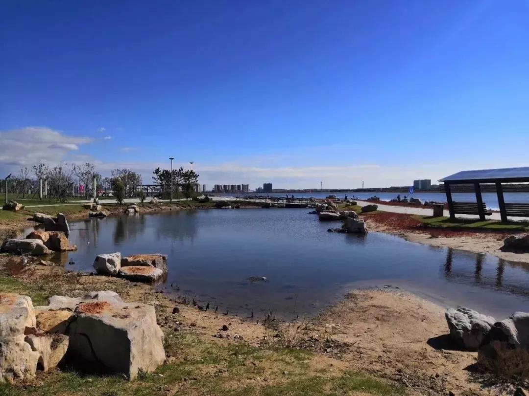 美国西部植被的多样性与独特魅力，美国西部植被的丰富多样性与独特魅力探索