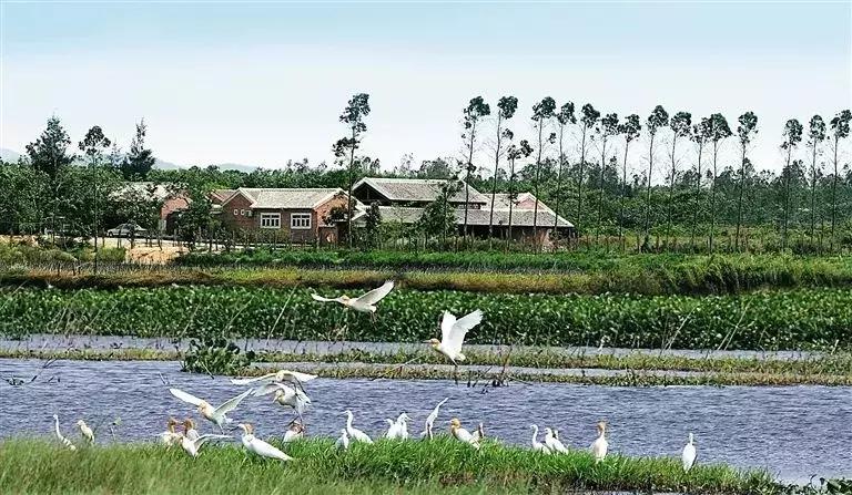 美国西部植被的多样性与独特魅力,美国西部植被的丰富多样性与独特魅力探索