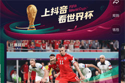 央视世界杯直播,激情与专业的完美结合,央视世界杯直播,激情与专业共融呈现盛宴