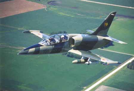 立陶宛空军,历史、现状和未来展望,立陶宛空军,历史沿革、现状解析与未来展望