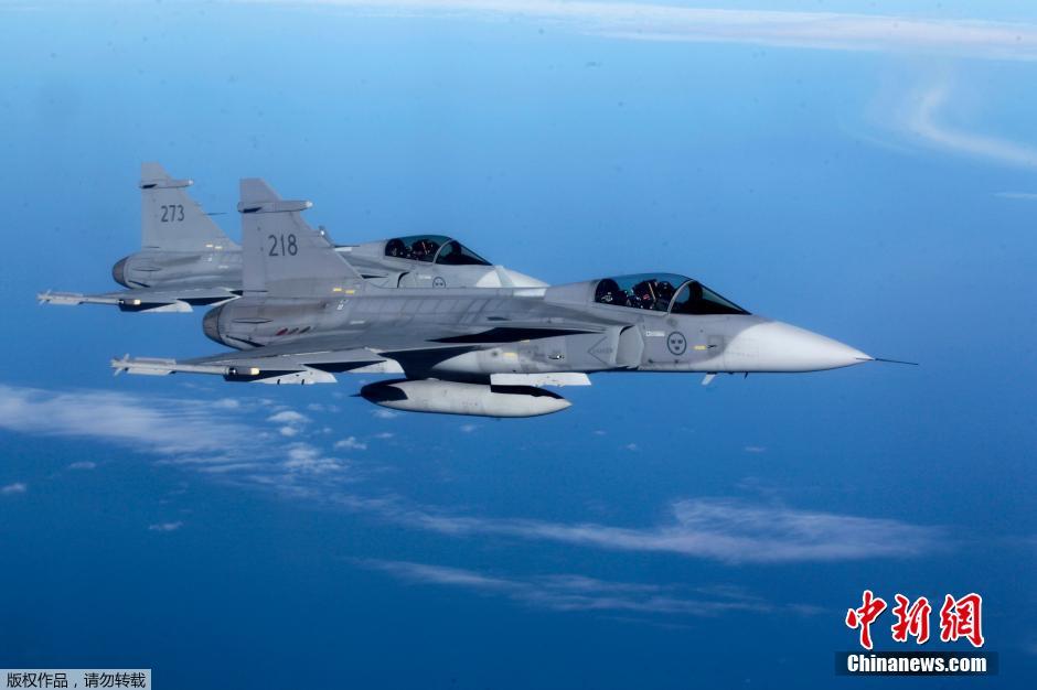 立陶宛空军,历史、现状和未来展望,立陶宛空军,历史沿革、现状解析与未来展望