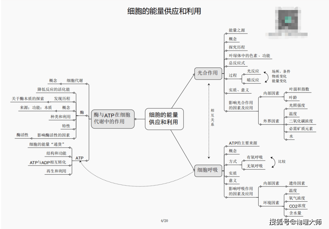 王中王三期必出平特一肖，预测与解析的独特视角，王中王三期预测解析，独特视角探讨平特一肖