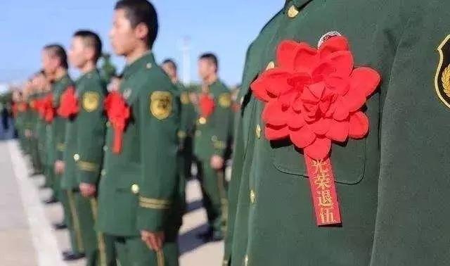 最新消息参战人员补贴，政策更新与福利展望，最新参战人员补贴政策更新及福利展望