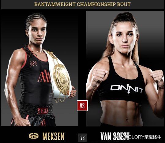 六肖中特王中王一肖中特