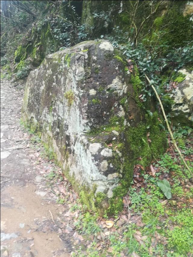 刘伯温四不像特中一肖图,神秘预测与传奇色彩,刘伯温四不像特中一肖图,神秘传奇预测揭秘